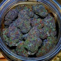 buy cannabis oil online