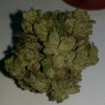 medical marijuana evaluations