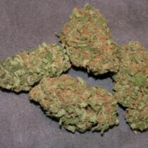 cannabis for sale