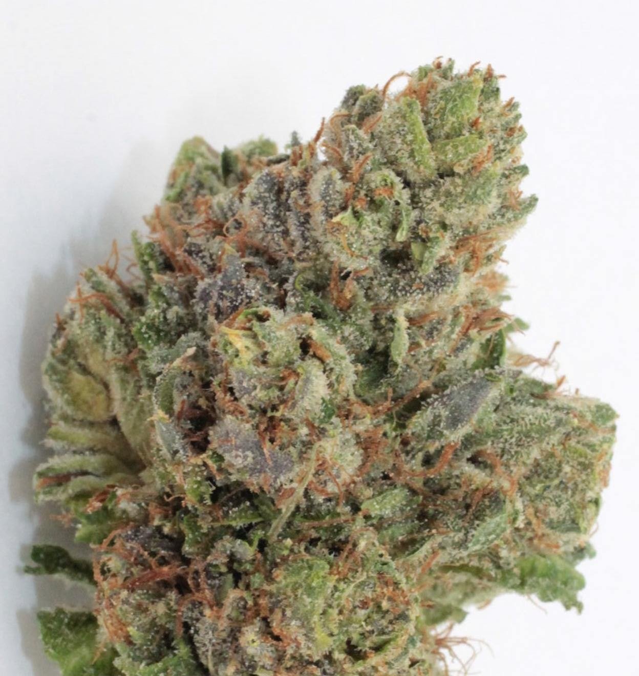 buy marijuana online
