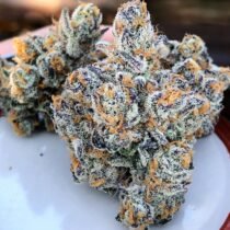 buy marijuana seeds