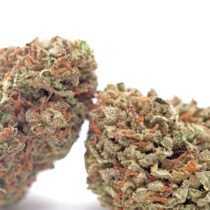 seeds marijuana