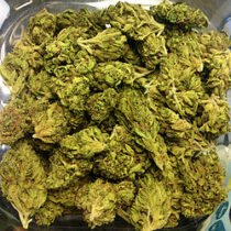 marijuana online