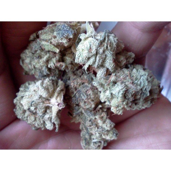 cannabis dispensary near me