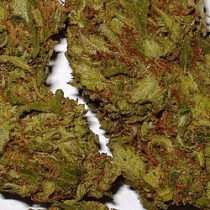 Pineapple Express
