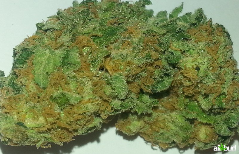 where to buy weed